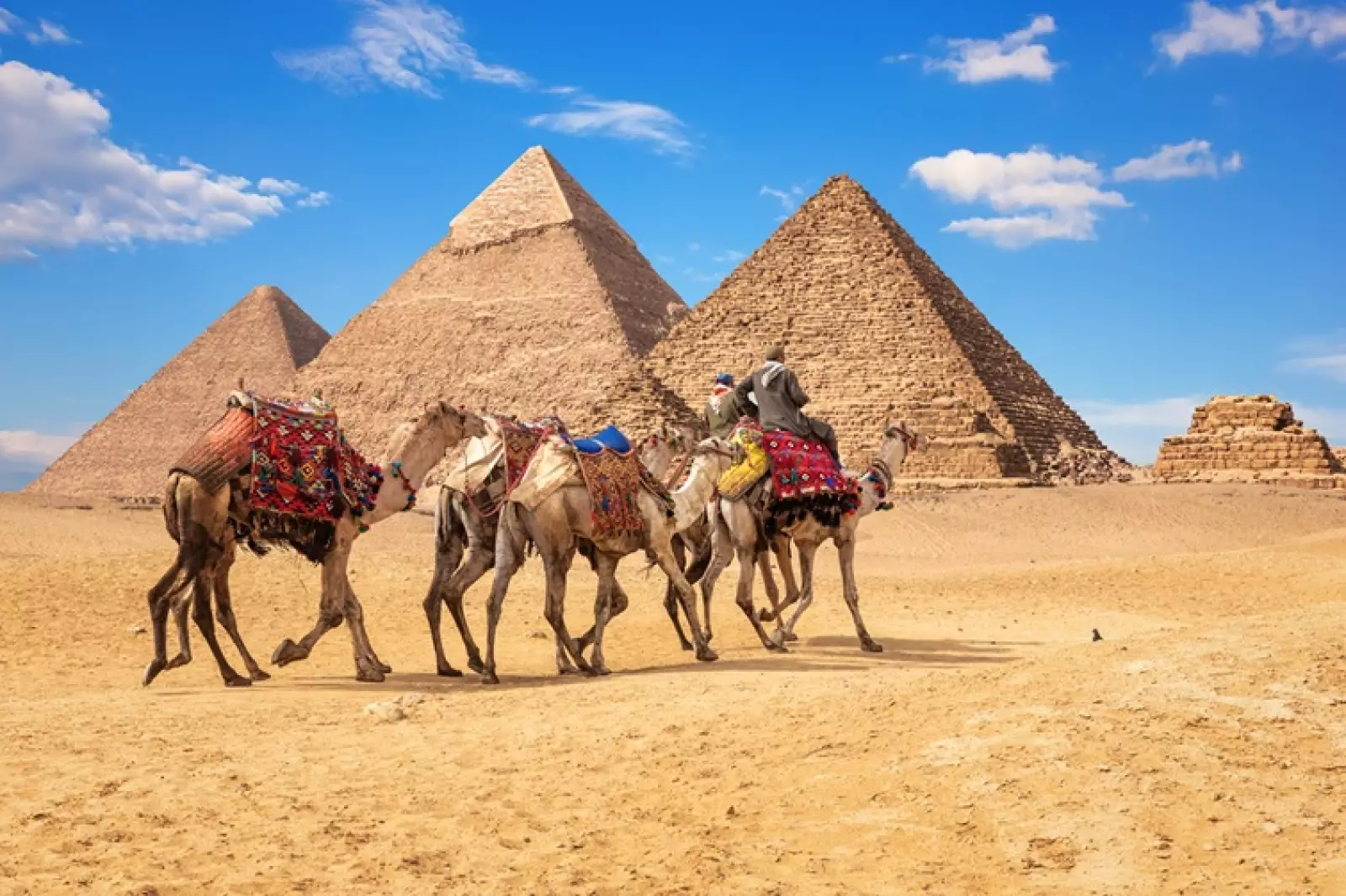 egypt hotel